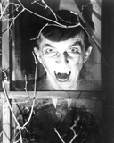 Dark Shadows