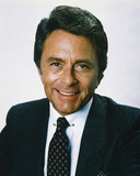 Bill Bixby - The Incredible Hulk