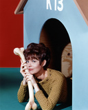 Barbara Feldon