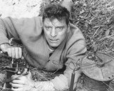 Buy Burt Lancaster - The Train at AllPosters.com