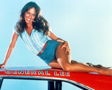 Buy Catherine Bach - The Dukes of Hazzard at AllPosters.com
