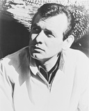 Buy David Janssen - The Fugitive at AllPosters.com