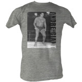 Andre the Giant  - Tower