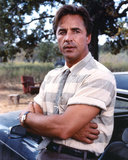 Buy Don Johnson at AllPosters.com