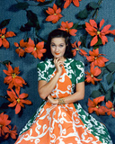 Buy Dorothy Lamour at AllPosters.com