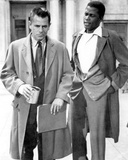 Buy Blackboard Jungle at AllPosters.com