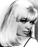 Buy Diana Dors at AllPosters.com