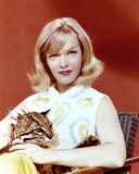 Buy Anne Francis at AllPosters.com