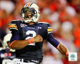 Cam Newton Auburn University Tigers 2010 Action