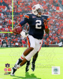 Buy Cam Newton Auburn University Tigers 2010 Action at AllPosters.com