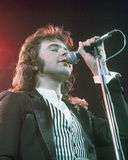 David Essex