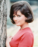 Buy Claudia Cardinale at AllPosters.com