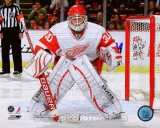 Chris Osgood 2010-11 Action