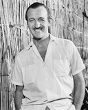Buy David Niven at AllPosters.com