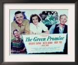 The Green Promise, Natalie Wood, Robert Paige, Marguerite Chapman, Walter Brennan, 1949