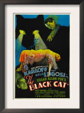 The Black Cat, Boris Karloff, Harry Cording, Jacqueline Wells, Bela Lugosi, 1934