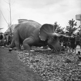 Triceratops Model at Jurassic Park Photographic Print