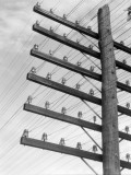 Buy Closeup of Telephone Pole With 6 Levels of Wires at AllPosters.com