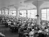 Women in Textile Factory at Sewing Machines