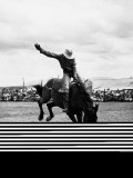 Rodeo Cowboy Riding Bucking Bronco
