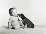Buy Baby and Dog at AllPosters.com