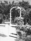 Pergola Over Garden Gate (B&W)