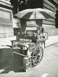 Street Hot Dogs Vendor Cart