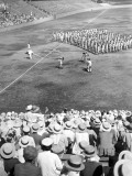 Inter-City Baseball Photographic Print