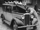 Under the Bonnet