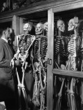 Skeleton in Cupboard