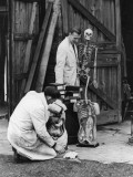 Displaced Doctors