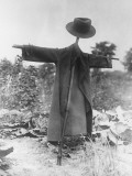 Scarecrow in Garden