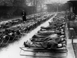 Pupils Sleeping
