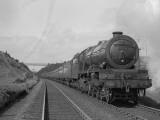 Buy Train Service at AllPosters.com