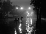 Lonely Copper
Photographic Print