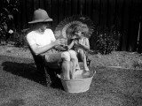 Halcyon Days