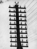 Telegraph Pole