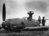 Buy Guarding Plane at AllPosters.com