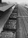 Wartime Train