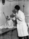 Dog Salon