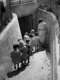 Nursery Shelter