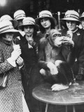 London Zoo