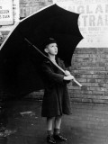 Big Brolly