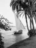 Felucca on the Nile