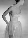 Corselet Photographic Print