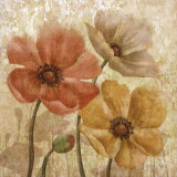 Buy Poppy Allure I at AllPosters.com