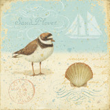 Buy Natural Seashore I at AllPosters.com