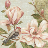 Magnolia Collage II