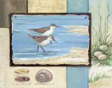 Sandpiper Collage I