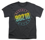 Youth: 90210-Color Blend Logo